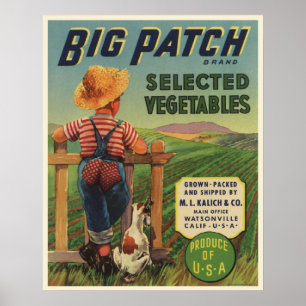 Plakat mit Vintagem Aufkleber des Land-Jungen und