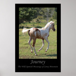 Plakat "Moon Dancer" - Reise