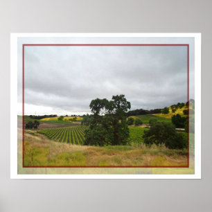 Plakat Paso Robles des Wein-Landes