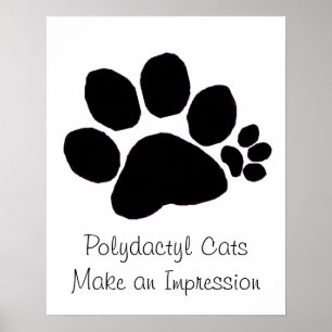 Plakat - Polydactyl Tatzen-Druck