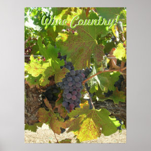 Plakat - Weinland