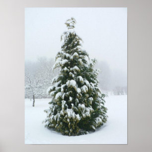 Plakat-Winter-Szene Poster