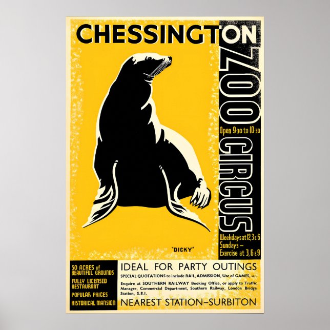 Plakat Zoo Chessington (Seal) (Vorne)