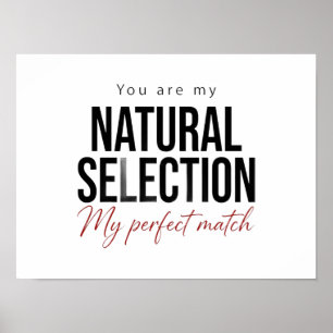 Plakat zur natürlichen Selektion Biologie Wissensc