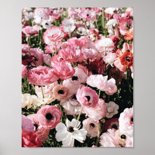 Plakatdruck mit rosa und weißen Blumen Poster