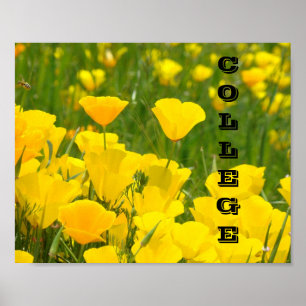 Plakatdrucke Schul-Lehrer Mohnblumen Poster
