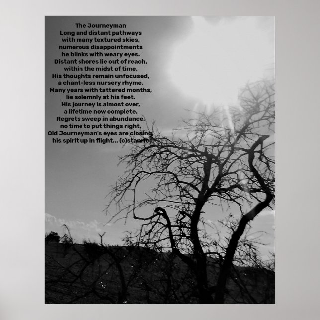 PLAKATKUNST UND DESIGNSTILE  POSTER (Vorne)