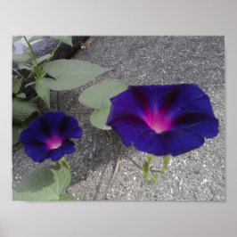 Plakatpapier mit Blumenbezug Poster