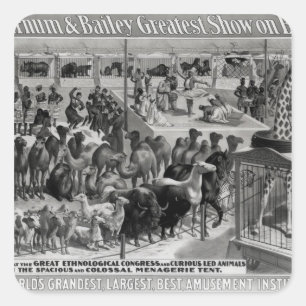 Plakatwerbung, 'das Barnum und der Bailey Quadratischer Aufkleber