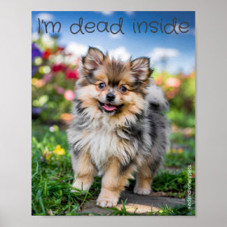 Plakatwerbung für traurige und einsame Haustiere:  Poster