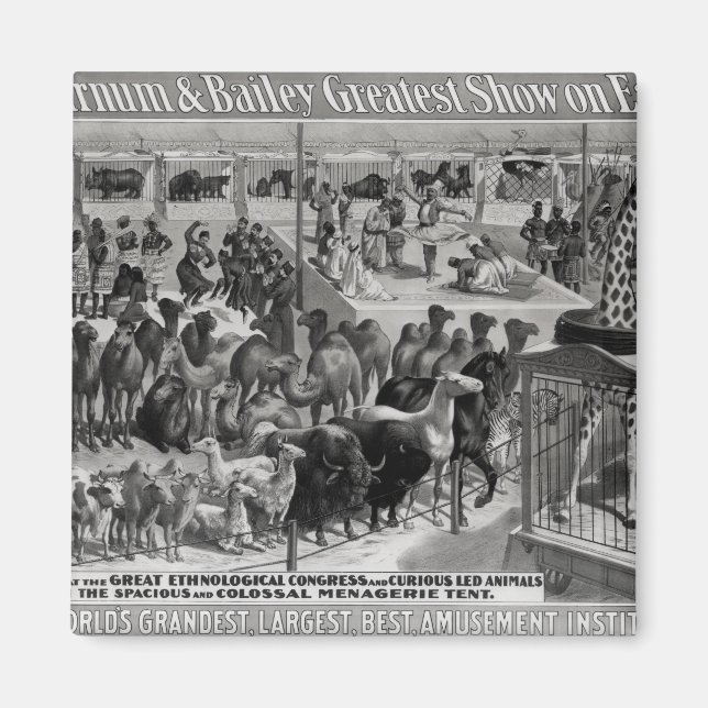Plakatwerbung: 'The Barnum and Bailey Magnet (Vorne)