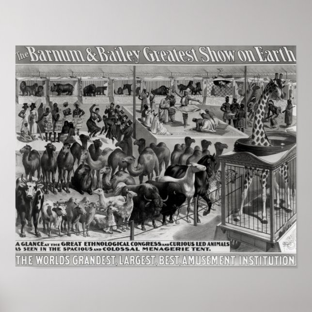Plakatwerbung: 'The Barnum and Bailey Poster (Vorne)