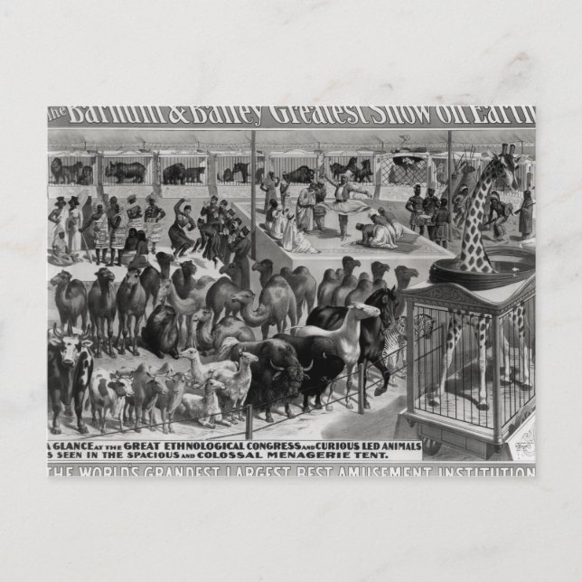 Plakatwerbung: 'The Barnum and Bailey Postkarte (Vorderseite)