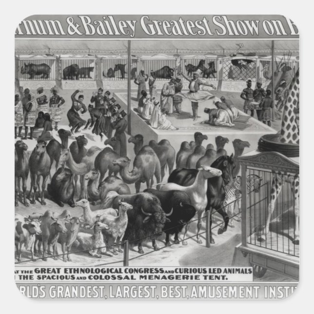 Plakatwerbung: 'The Barnum and Bailey Quadratischer Aufkleber (Vorderseite)