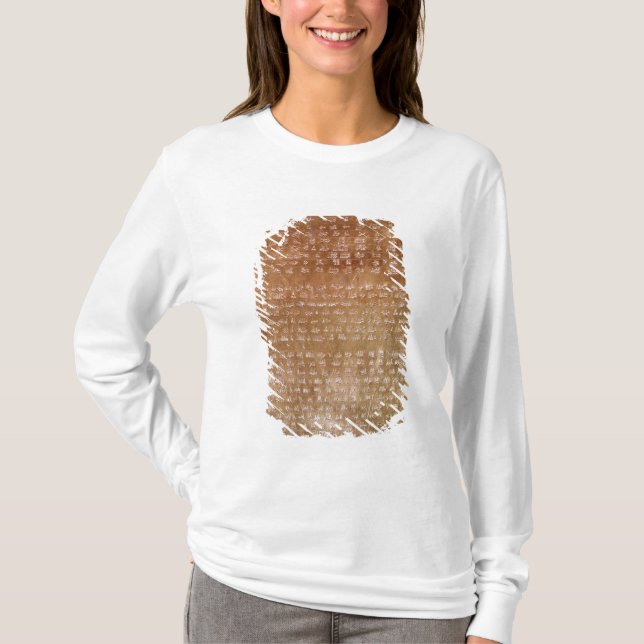Plakette von Darius I 550-500 BC T-Shirt (Vorderseite)