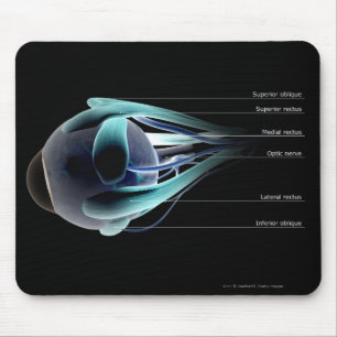 Plan aller Muskeln im menschlichen Auge Mousepad