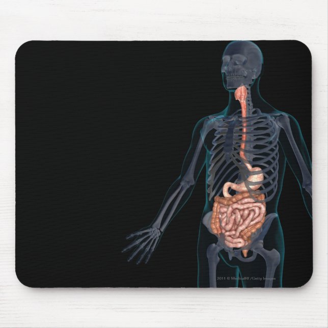 Plan des menschlichen Verdauungssystems Mousepad (Vorne)