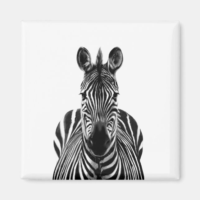 Plan III Magnet (Vorne)