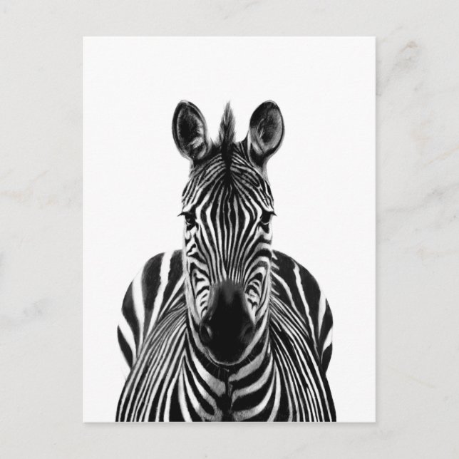 Plan III Postkarte (Vorderseite)