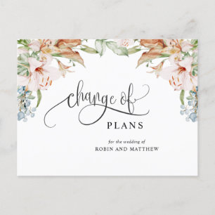 Planänderung, erdige beige Hochzeit abgesagt Ankündigungspostkarte
