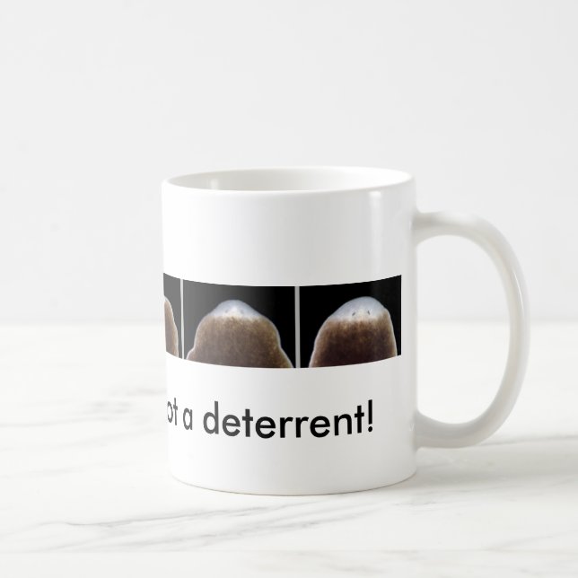 Planarian-Regeneration Tasse (Rechts)