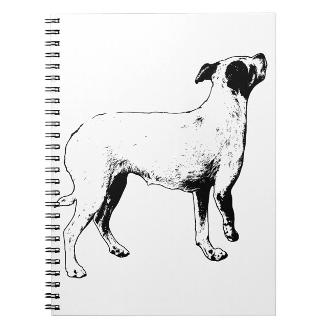 Pläne, aber heller notizblock (Vorderseite)