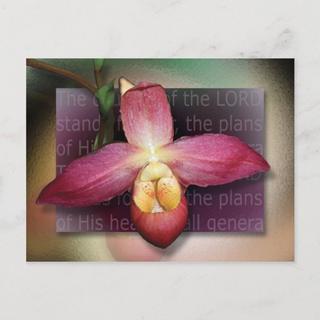 Pläne seines Herzens Postkarte (Vorderseite)