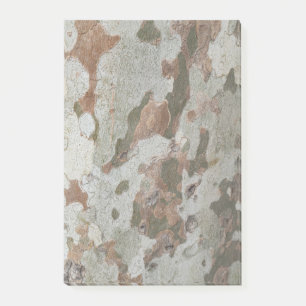 Plane tree camouflage looks bark pattern n post-it klebezettel