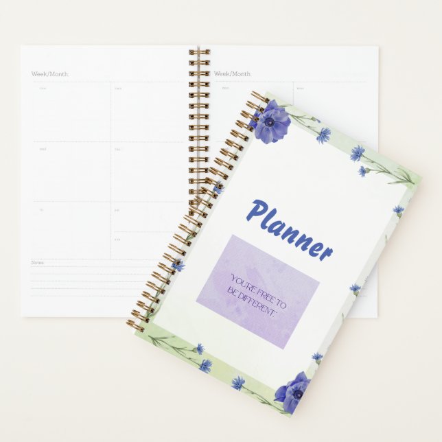 Planer (Anzeige)