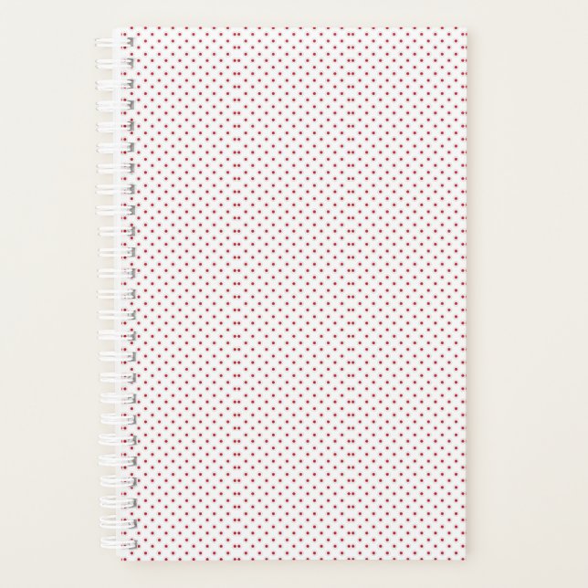 Planer (Vorderseite)