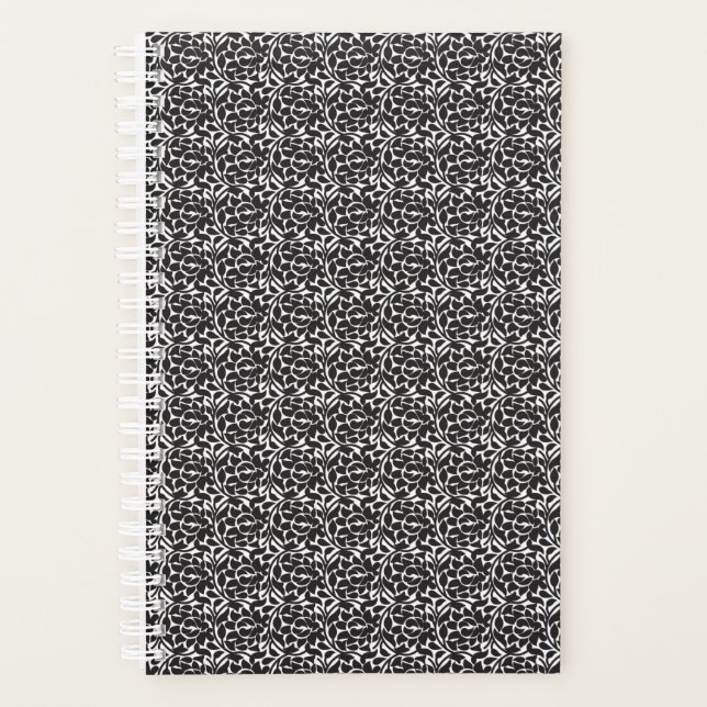 Planer (Vorderseite)