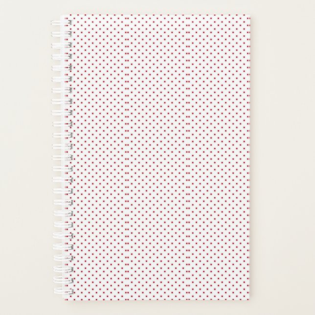 Planer (Vorderseite)