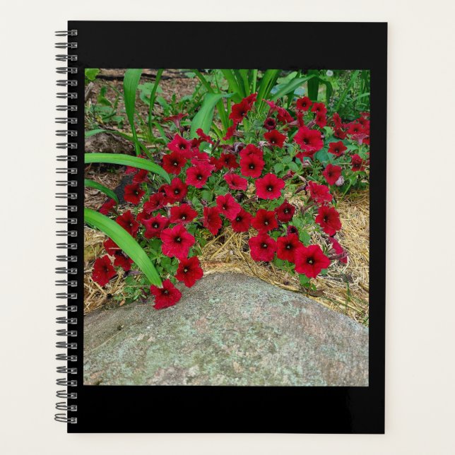 Planer (Vorderseite)