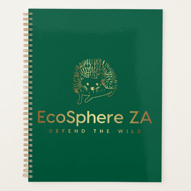 Planer (Vorderseite)