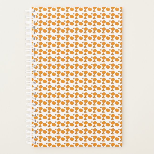 Planer (Vorderseite)