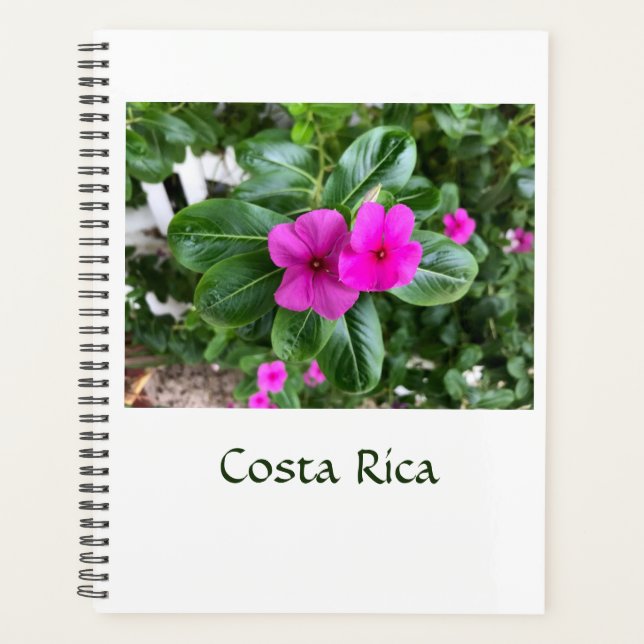 Planer für Lila Blume in Costa Rica (Vorderseite)