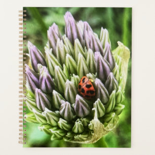 Planer mit schöner Blume auf der Abdeckung