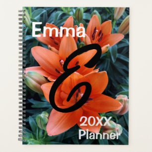Planer, Orangefarbene Lily-Blume Planer