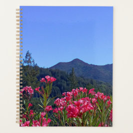 Planer Tamalpais mit rosa Blume