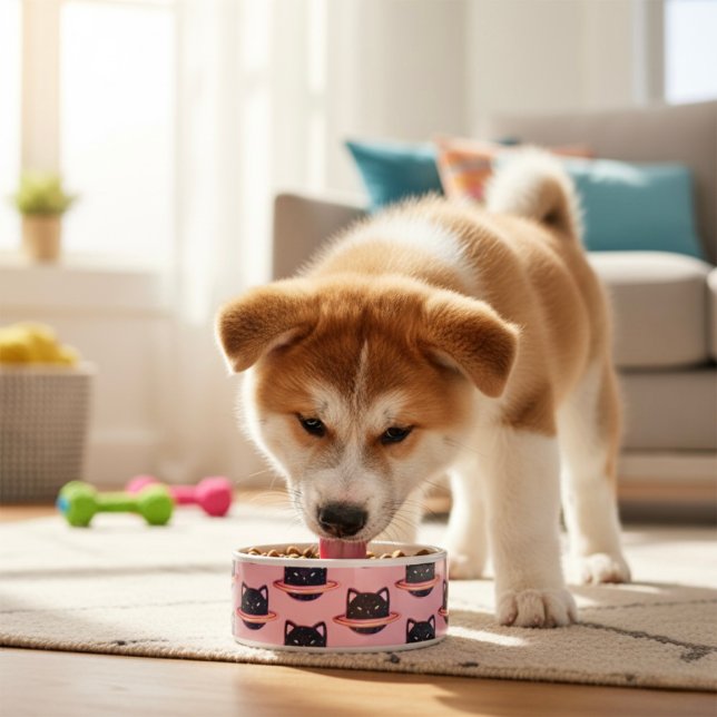 Planet Cat Bowl Napf (Von Creator hochgeladen)