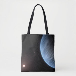 Planet K2-18b, Host Star und Begleitplanet.