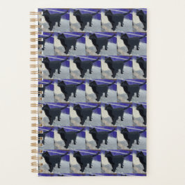 Planner Black Cat Planer