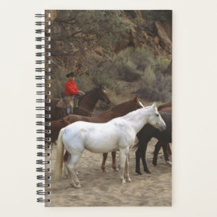 Planner Pferd Foto Equine Cowboy Herd Planer