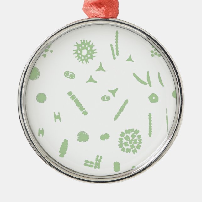plant plankton silbernes ornament (Vorne)