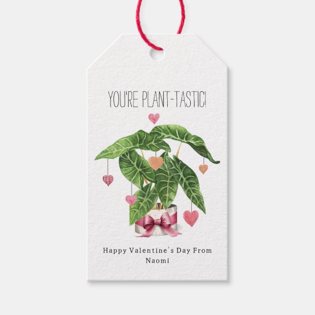 Plant-tastic Houseplant Pun Valentine Geschenkanhänger (Vorderseite)