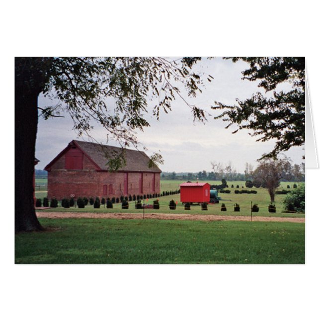 Plantagen-Wiesenkarte (Vorderseite (Horizontal))