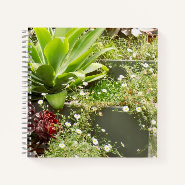 Planters-Notebook Notizbuch (Vorderseite)