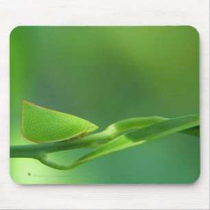 PlantWalker Mousepad