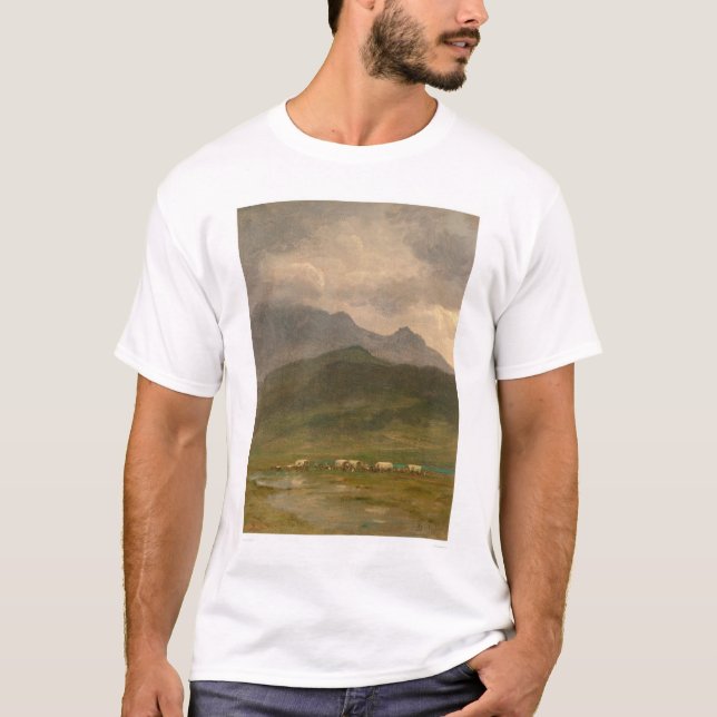 Planwägen durch Bierstadt (0101A) T-Shirt (Vorderseite)