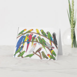 plappert Grußkarte nach Karte